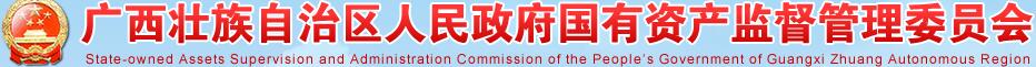 广西壮族自治区人民政府国有资产监督管理委员会